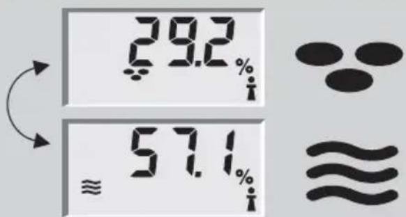 SOEHNLE Body Balance Caribic - Analisi del corpo - 3