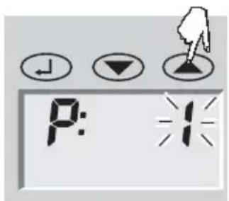 SOEHNLE Body Balance Caribic - Introdução de dados - 1