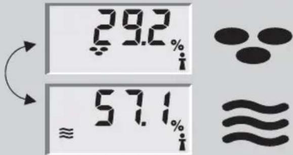 SOEHNLE Body Balance Caribic - Kroppsanalys - 2