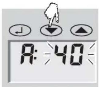 SOEHNLE Body Balance Caribic - Programming - 5