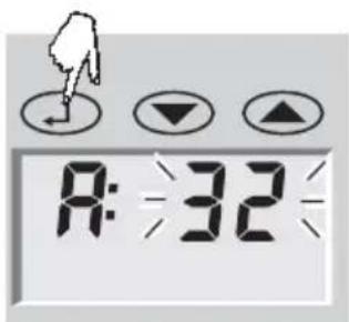 SOEHNLE Body Balance Caribic - Introdução de dados - 6