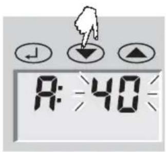 SOEHNLE Body Balance Caribic - Immissione dei dati - 5