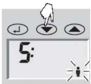 SOEHNLE Body Balance Caribic - Programming - 7