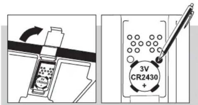 SOEHNLE Body Balance Caribic - Préparation - 6