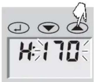 SOEHNLE Body Balance Caribic - Tietosyöttö - 3