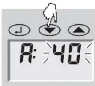 SOEHNLE Body Balance Caribic - Tietosyöttö - 5