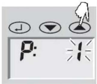 SOEHNLE Body Balance Caribic - Dateneingabe - 1