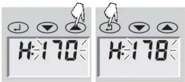 SOEHNLE Body Balance Caribic - Entrada de datos - 2