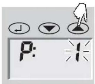 SOEHNLE Body Balance Caribic - Gegevensinvoer - 1