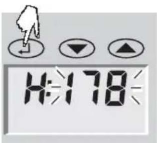 SOEHNLE Body Balance Caribic - Dateneingabe - 4