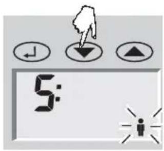 SOEHNLE Body Balance Caribic - Εισαγωγή δεδομένων - 7