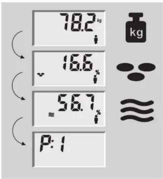 SOEHNLE Body Balance Lago - Análise corporal - 2