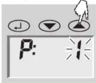 SOEHNLE Body Balance Lago - Entrada de datos - 1