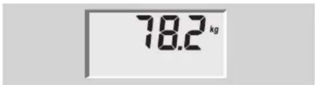 SOEHNLE Body Balance Lago - Kropsanalyse - 1