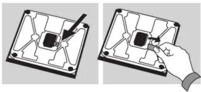 SOEHNLE Body Balance Lago - Avisos importantes - 2