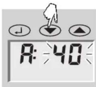 SOEHNLE Body Balance Lago - Hazırlık - 10