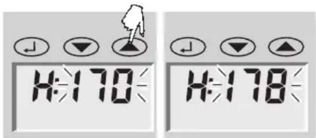 SOEHNLE Body Balance Lago - Adatbevitel - 2