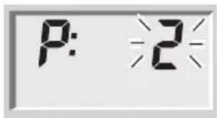 SOEHNLE Body Balance Lago - Ввод данных - 1