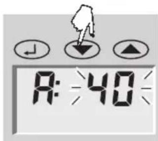 SOEHNLE Body Balance Lago - Förberedelse - 10