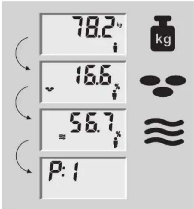 SOEHNLE Body Balance Lago - Análisis corporal - 2