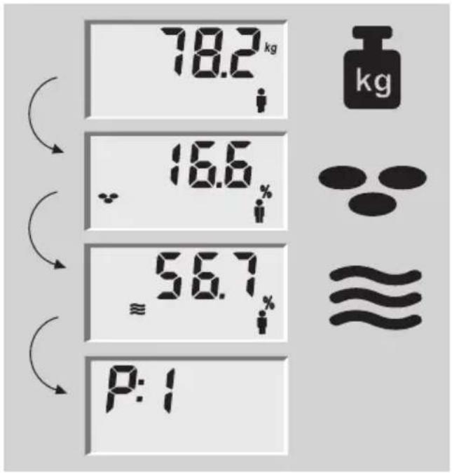 SOEHNLE Body Balance Lago - Kroppsanalys - 2