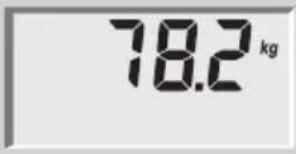 SOEHNLE Body Balance Lago - Analisi del corpo - 1