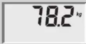 SOEHNLE Body Balance Lago - Telesna analiza - 1