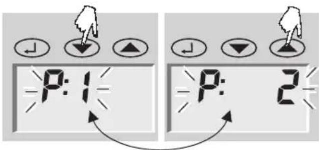 SOEHNLE Body Balance Lago - Testelemzés - 3