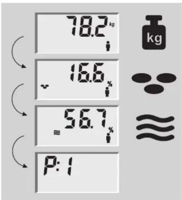 SOEHNLE Body Balance Lago - Analýza těla - 2