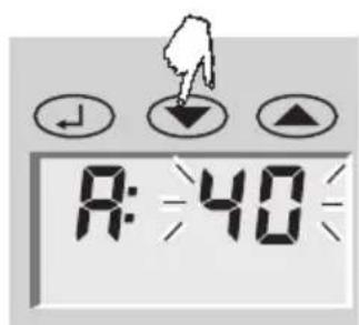 SOEHNLE Body Balance Lago - Programming - 5