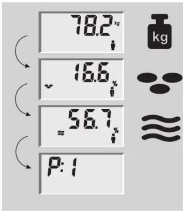 SOEHNLE Body Balance Lago - Telesna analiza - 2