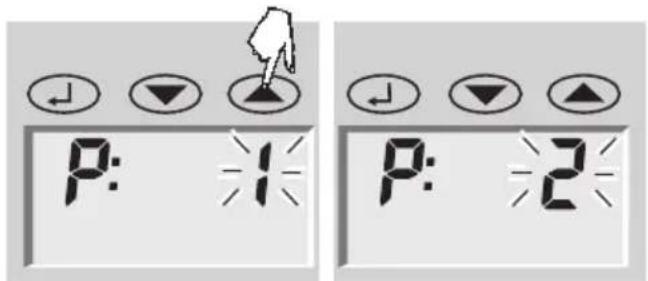 SOEHNLE Body Balance Lago - Préparation - 6