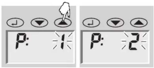 SOEHNLE Body Balance Lago - Dateneingabe - 1