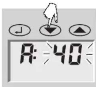 SOEHNLE Body Balance Lago - Wprowadzanie danych - 5