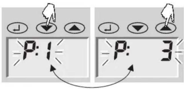 SOEHNLE Body Balance Lago - Kroppsanalys - 3