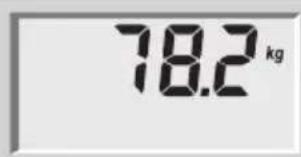 SOEHNLE Body Balance Lago - Análise corporal - 1