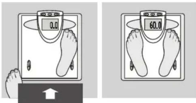 SOEHNLE Body Balance London - Veri girişi - 8