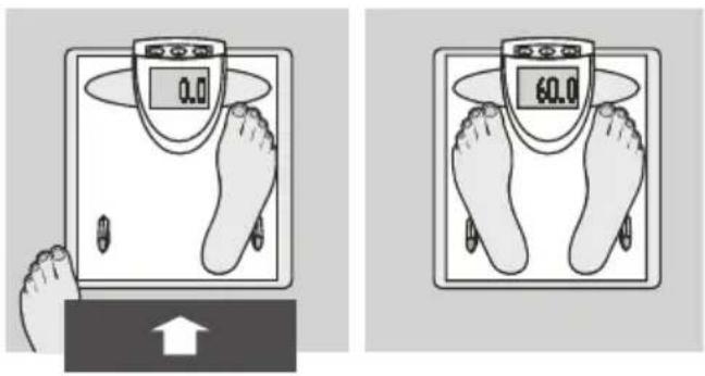 SOEHNLE Body Balance London - 19