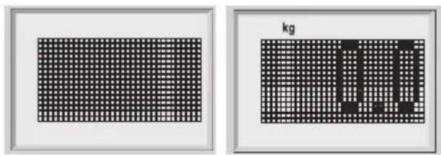 SOEHNLE Body Balance London - Unos podataka - 5