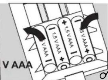 SOEHNLE Body Balance London - Préparation - 4