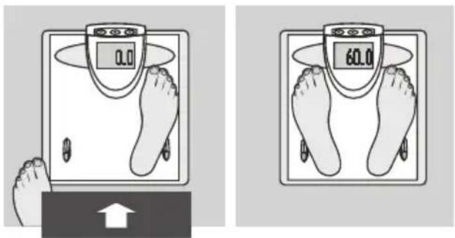 SOEHNLE Body Balance London - Tietosyöttö - 8