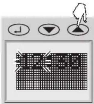 SOEHNLE Body Balance London - Preparation for use - 4