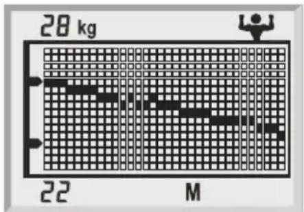 SOEHNLE Body Balance London - Hoe ontstaan de trendcurven? - 3