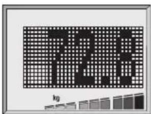 SOEHNLE Body Balance London - Analyse corporelle - 1