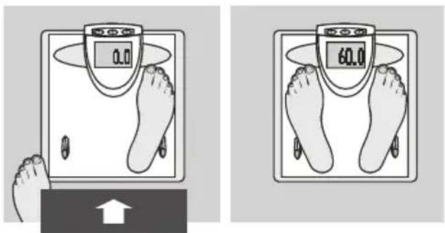 SOEHNLE Body Balance London - Wprowadzanie danych - 8