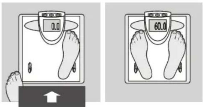 SOEHNLE Body Balance London - Programming - 9