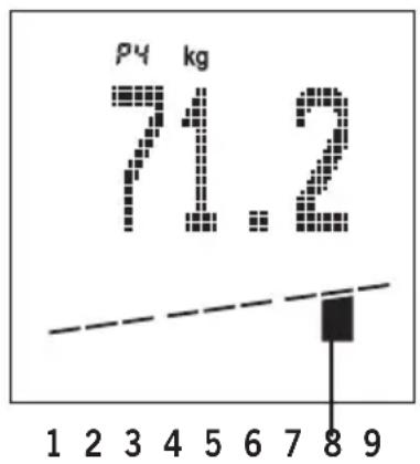 SOEHNLE Body Balance Comfort FS5 - Recommendation individuelle - 1