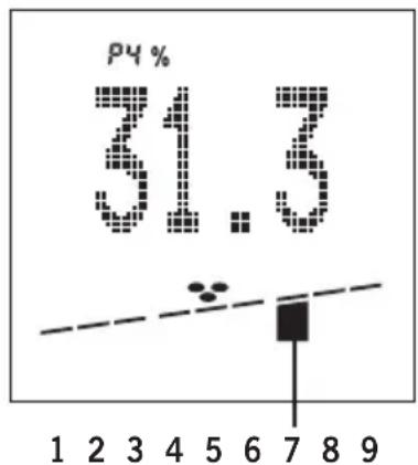 SOEHNLE Body Balance Comfort FS5 - BMI - 1