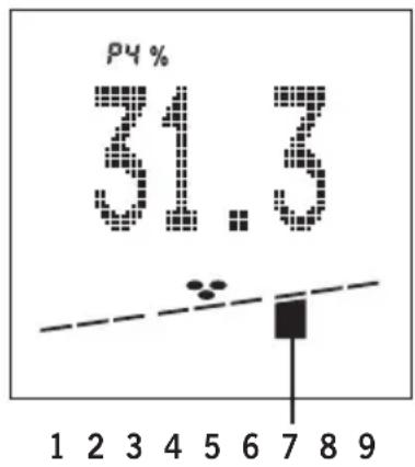 SOEHNLE Body Balance Comfort FS5 - BMI - 1