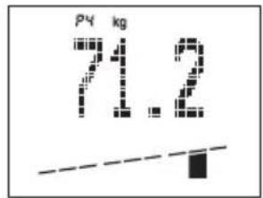 SOEHNLE Body Balance Comfort FS5 - Dateneingabe - 5